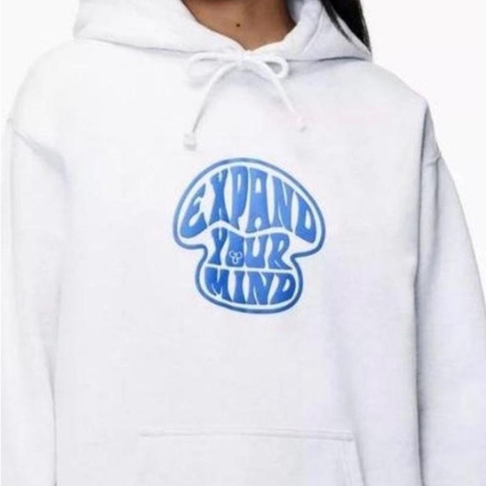 Aritzia Cozy Grey Expand Your Mind Hoodie